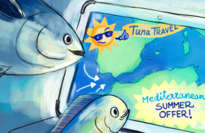 Tunas-looking-at-a-map