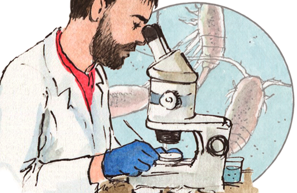 Dibujo de científico con microscopio