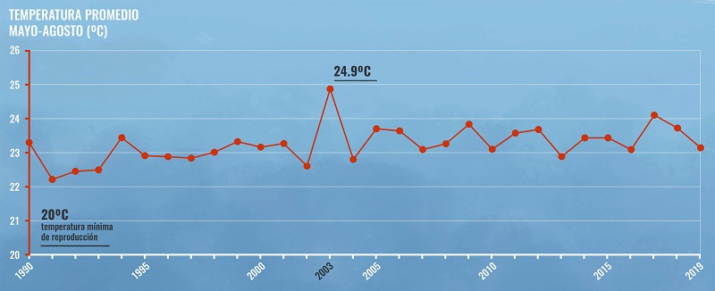 Gráfica que muestra la evolución de la temperatura promedio durante mayo-agosto desde 1990 hasta 2019.
