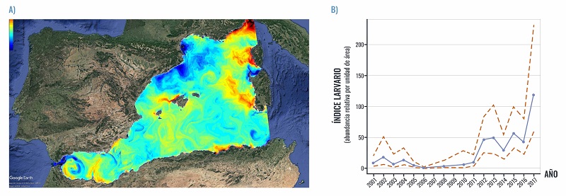 Mapa con la distribución espacial de la temperatura, por colores, en la zona occidental del Mar Mediterráneo. Y gráfica con la evolución de la abundancia larvaria desde 2001 hasta 2017.