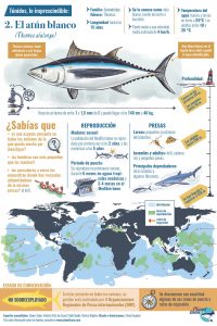 Ficha infográfica con los datos esenciales sobre el atún blanco o bonito del norte