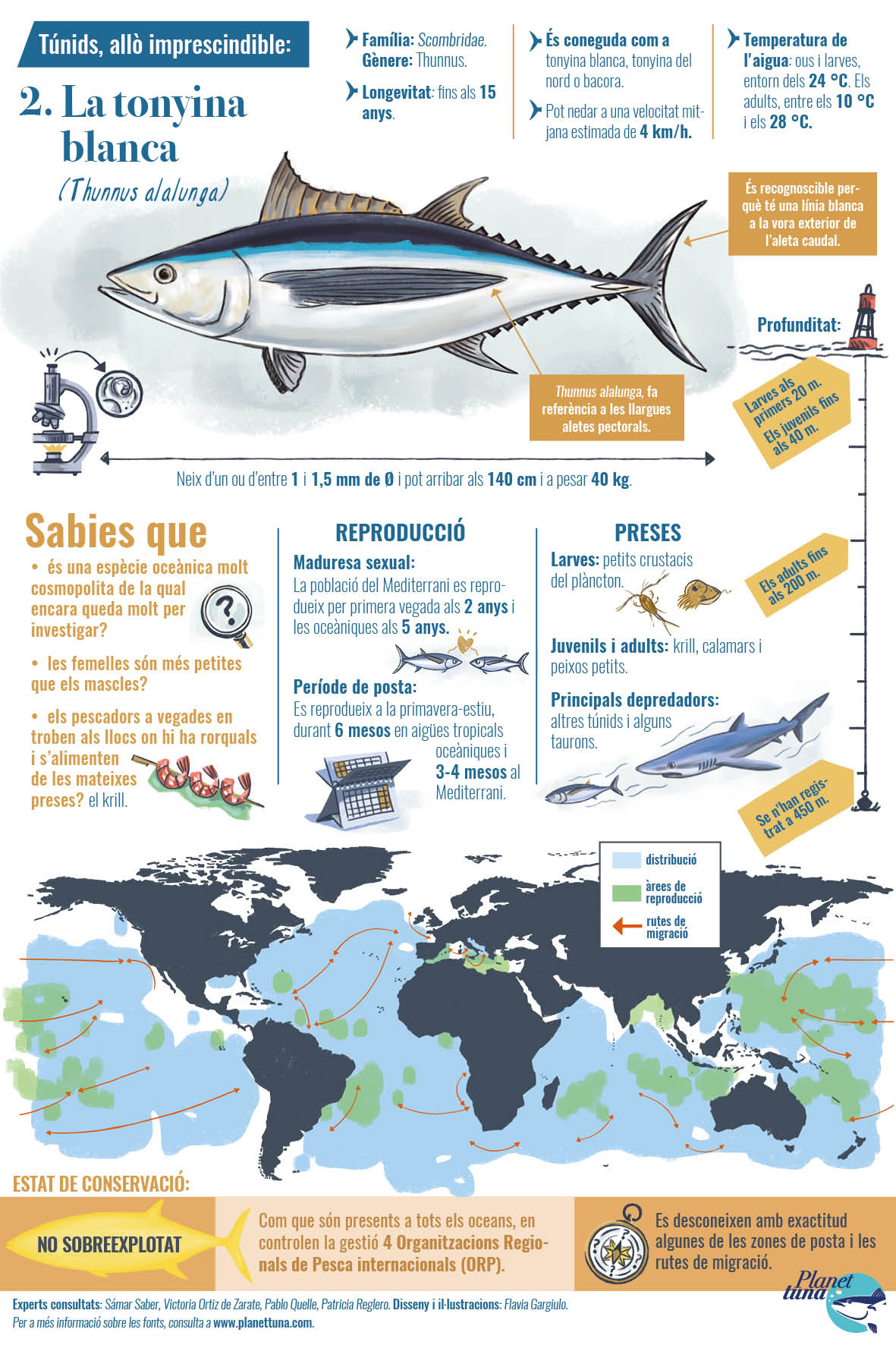 Fitxa infogràfica amb dades essencials sobre la tonyina blanca