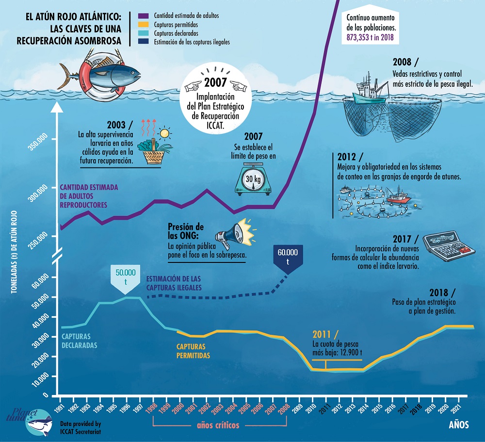 Gráfica con la evolución de las toneladas de atún rojo permitidas, declaradas y las ilegales estimadas, entre 1991 y 2020. Los principales hitos en la gestión de esta especie también se señalan.