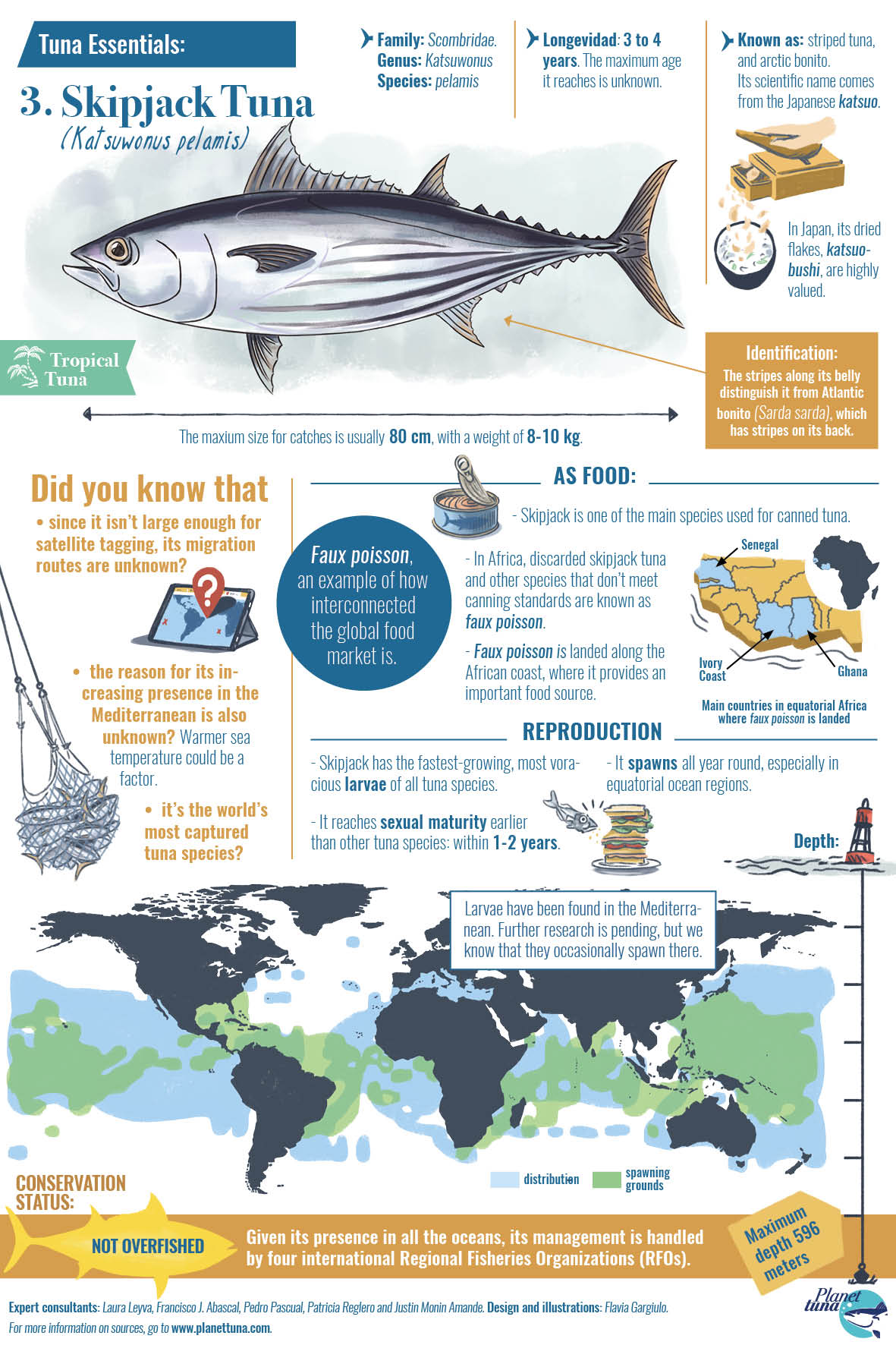 Fact-sheet-with-drawings-and-data-about-the-biology-and-human-consumption-of-skipjack-tuna-katsuwomus-pelamis
