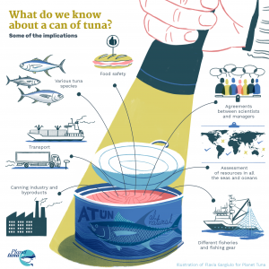 Infography abot what do we know about canned tuna