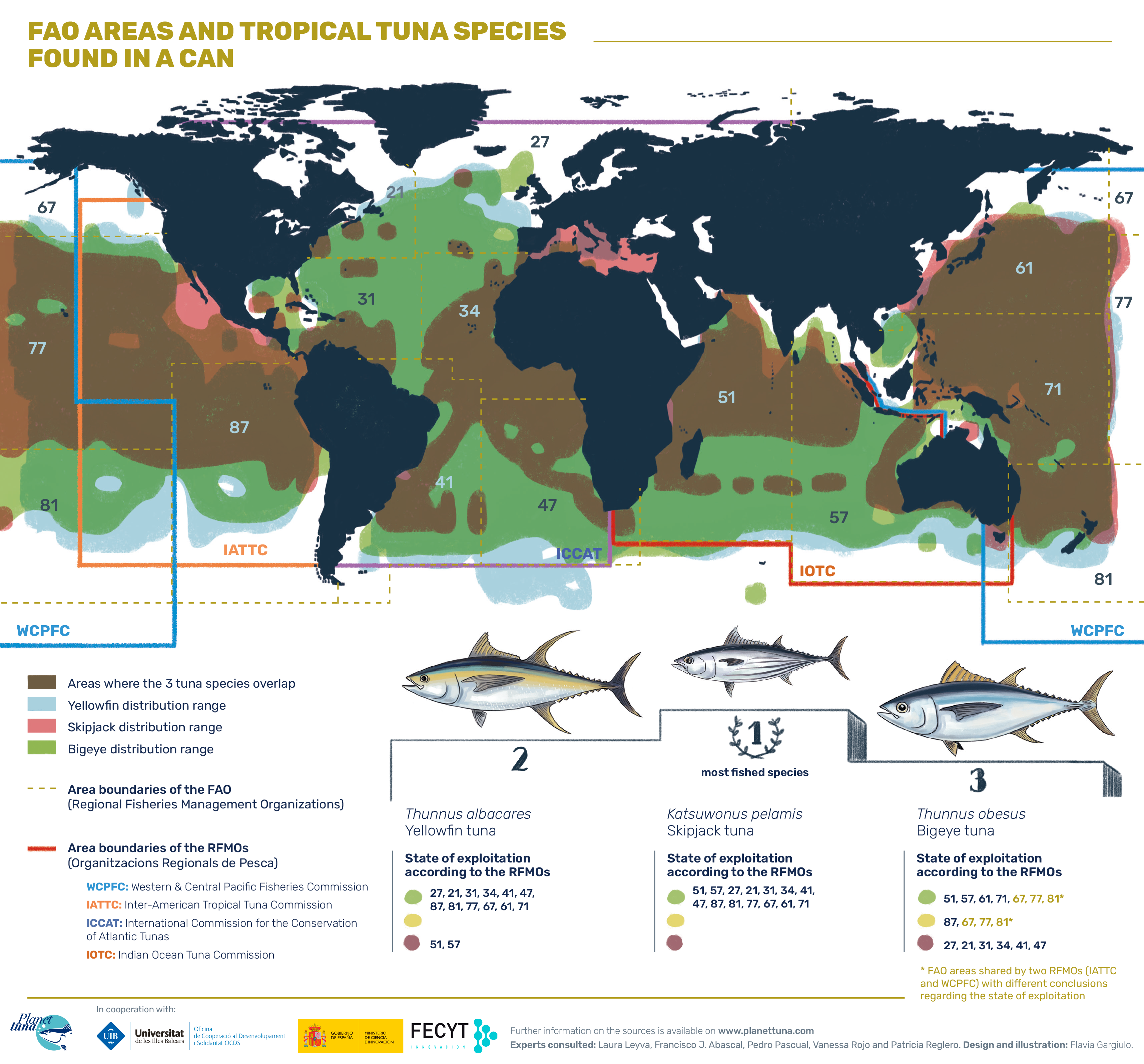 Infography FAO areas, tropical tunas and its conservation