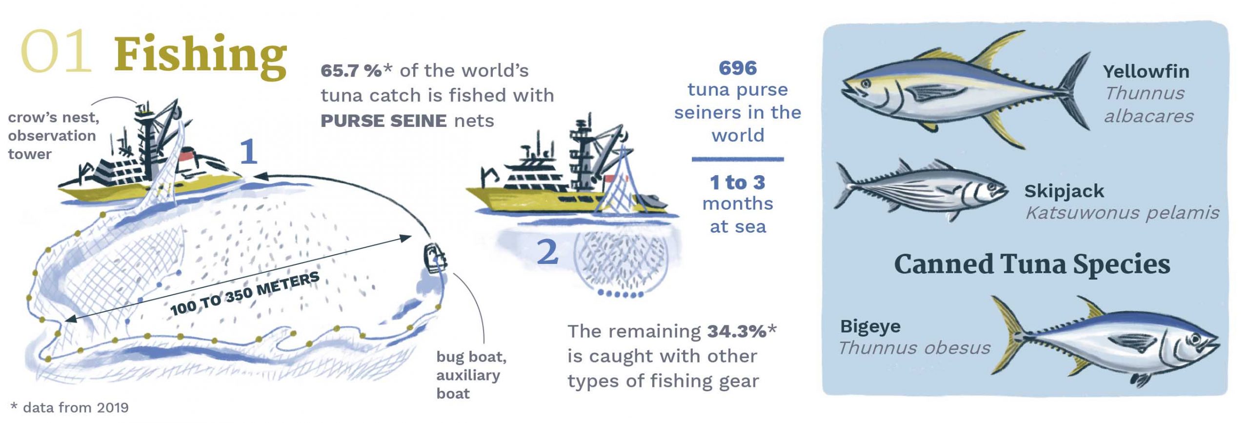 CANNED TUNA (II). THE JOURNEY OF A CAN - Planet tuna