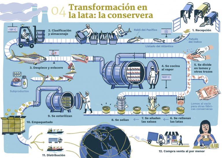 LA LATA DE ATÚN (II). EL VIAJE DE LA LATA - Planet tuna