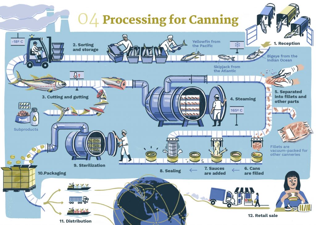 CANNED TUNA (II). THE JOURNEY OF A CAN - Planet tuna