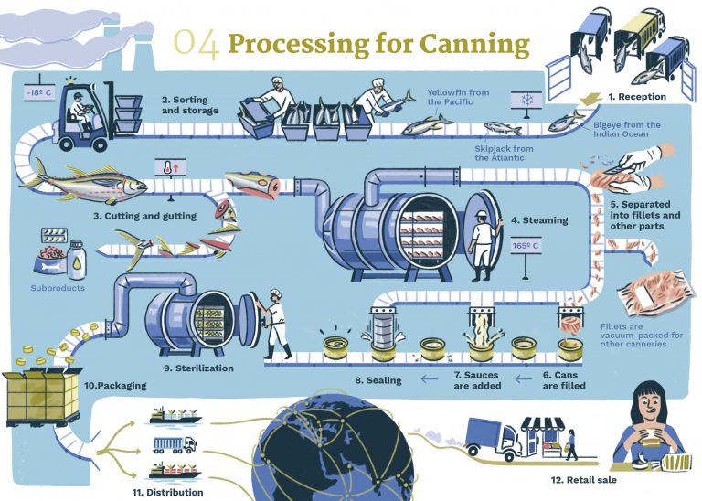 CANNED TUNA (II). THE JOURNEY OF A CAN tuna