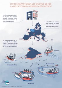 Infografia sobre el repartiment de quotes de tonyina vermella de l'Atlàntic a ICCAT
