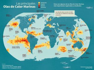 La ilustración muestra cuáles han sido las olas de calor marinas más importantes que ha habido en el mundo. Se incluye un gráfico que señala la evolución de las olas de calor marina, su intensidad y frecuencia en el tiempo. También se sitúan en el mapa del mundo las olas de calor marina más importantes y la fecha en que tuvieron lugar.