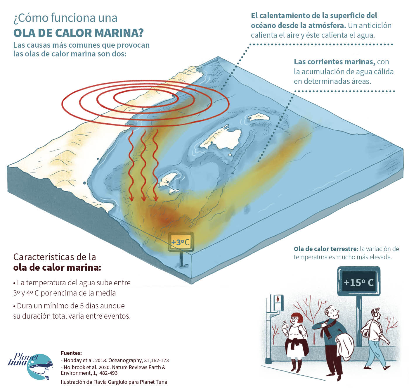 La ilustración explica cuáles son las características de una ola de calor marina y las principales causas que la producen.